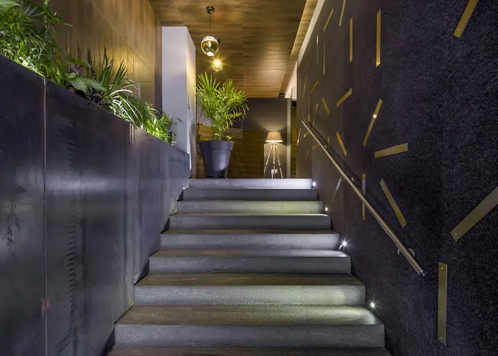 Mx Grand (adults Only) 3* México DF